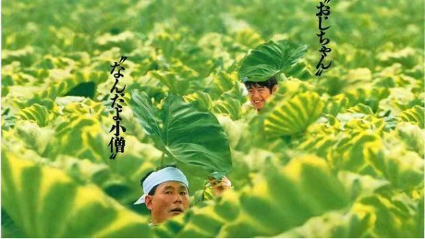 天空之城演出介绍808.png