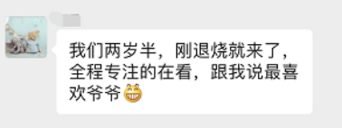 彼得与狼1029.png