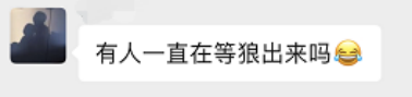 彼得与狼1086.png